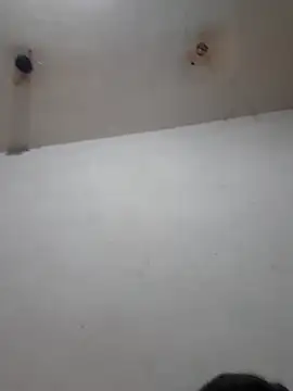 Snapshot of Calamaco07 chatting on 25, 2, 2026 Calamaco07 online show from 25, 2, 2026