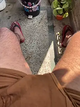 Bareilly Boy1 online show from 23, 2, 2025