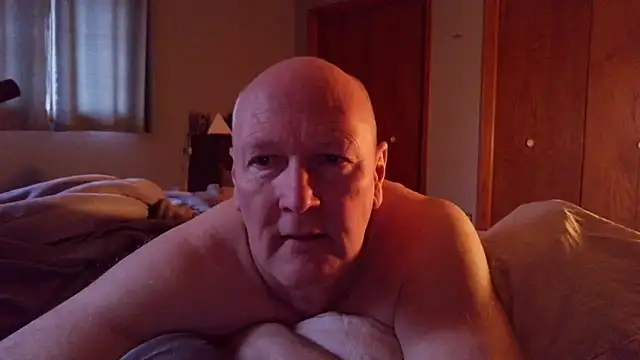 BasicAnt online show from 6, 4, 2026