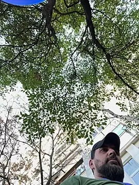 TigerOne19 online show from 29, 10, 2025