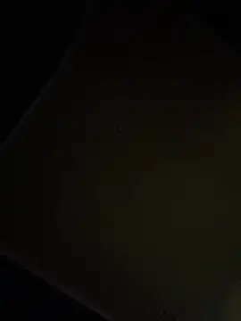 dingoding online show from 16, 4, 2026