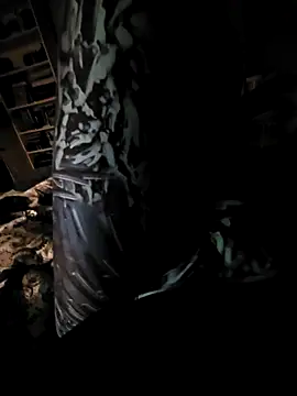 feathersify online show from 28, 4, 2026