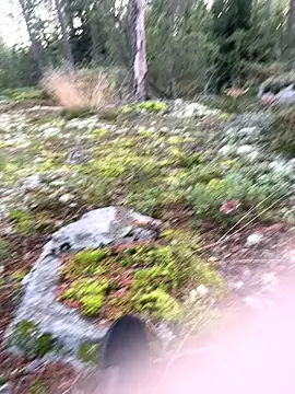 Andreashow online show from 22, 9, 2025