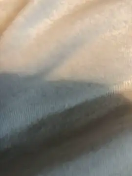 Hugetings online show from 24, 1, 2025