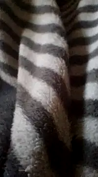 Lachezar12 online show from 16, 2, 2025