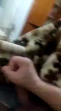 asezgin824 online show from 22, 12, 2024