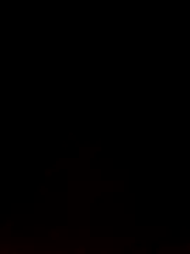 Snapshot of Like_african chatting on 9, 2, 2026 Like african online show from 9, 2, 2026