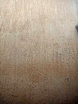 Snapshot of Petite_li chatting on 3, 2, 2026 Petite li online show from 3, 2, 2026