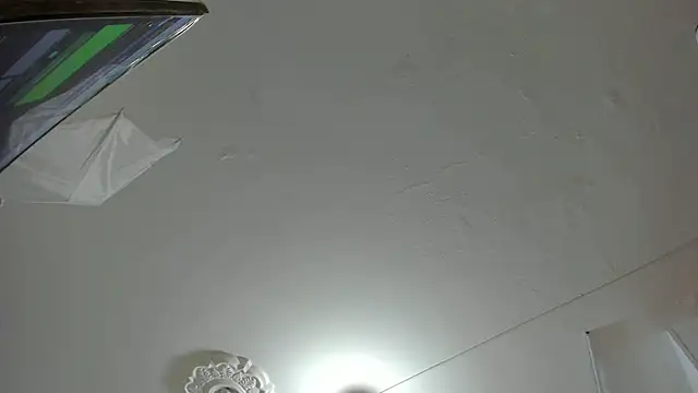 KendalStallyon online show from 8, 12, 2024