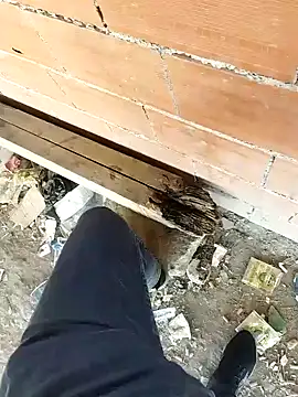 K-27 online show from 5, 10, 2025