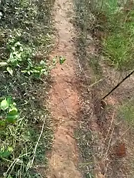 Snapshot of Gopal1243 chatting on 14, 12, 2024 Gopal1243 online show from 14, 12, 2024