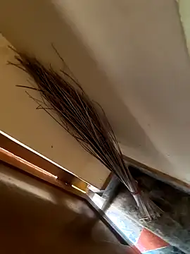 Snapshot of Gopal1243 chatting on 21, 1, 2025 Gopal1243 online show from 21, 1, 2025