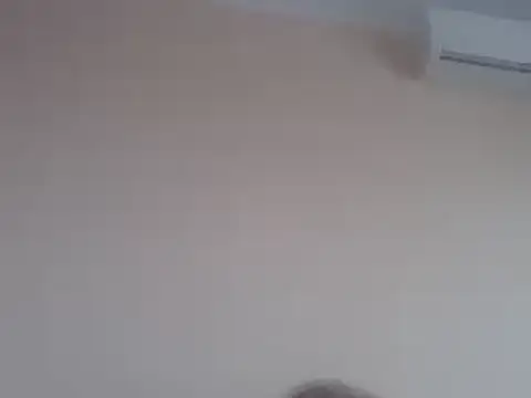 Snapshot of aavocadok chatting on 12, 12, 2024 aavocadok online show from 12, 12, 2024