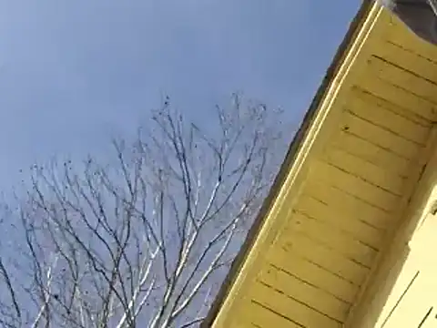 highstepper500 online show from 25, 12, 2024