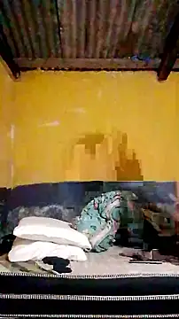 LULE37587001 online show from 20, 3, 2026