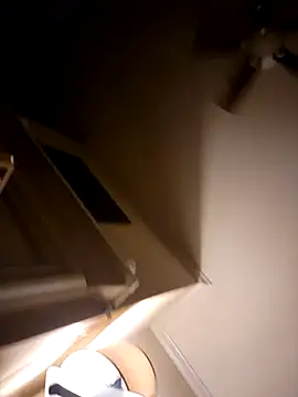 IMS BHAVEN online show from 4, 3, 2026