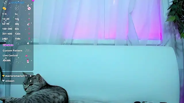 Bell a mi  online show from 7, 3, 2025