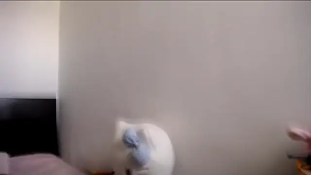 MARIANADIRTY online show from 11, 11, 2025