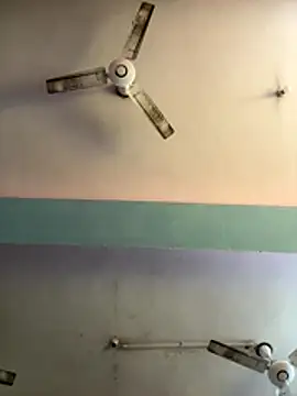 sum6255 online show from 7, 1, 2026