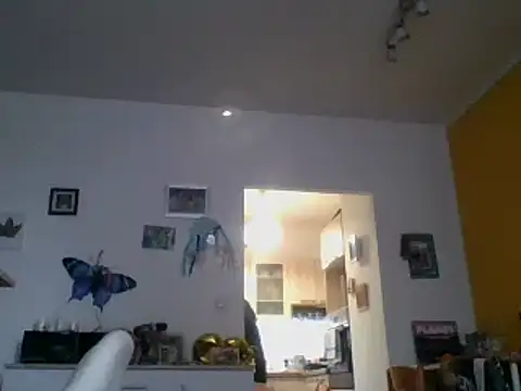 82liska online show from 9, 11, 2025