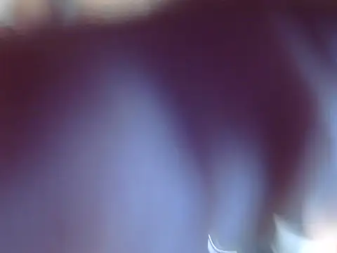 OSIRlS online show from 12, 12, 2024