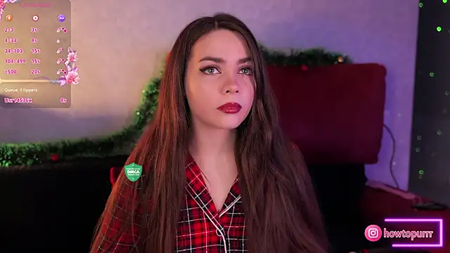 Snapshot of How2Meow chatting on 15, 12, 2024 How2Meow online show from 15, 12, 2024