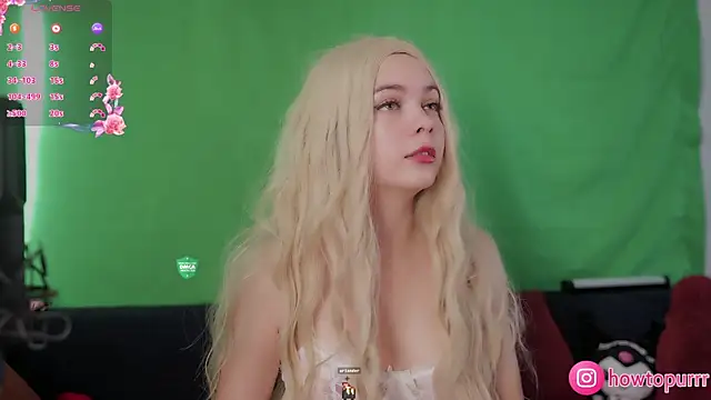 Snapshot of How2Meow chatting on 12, 9, 2025 How2Meow online show from 12, 9, 2025