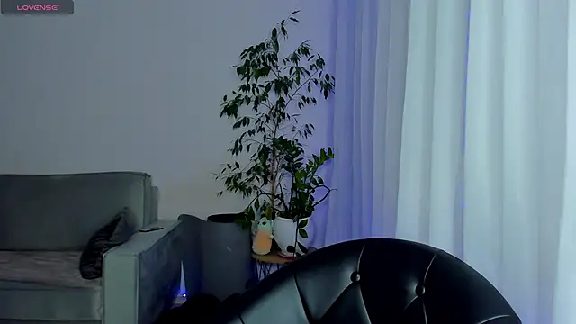 pantera flashh online show from 3, 3, 2026