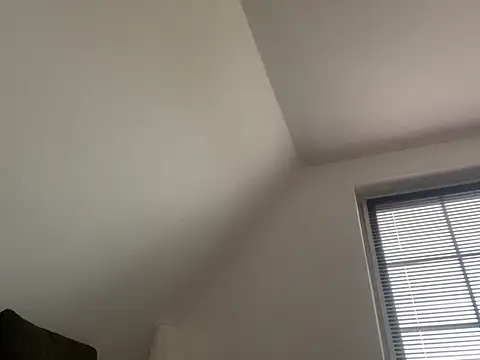 Snapshot of vanjbi45 chatting on 17, 1, 2025 vanjbi45 online show from 17, 1, 2025