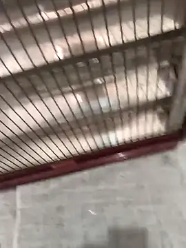 mustican422 online show from 25, 10, 2025