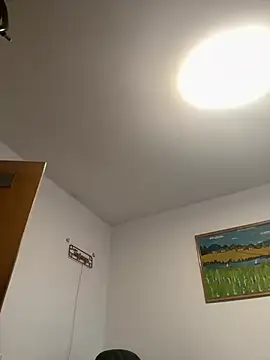 Toyjungee online show from 13, 2, 2026