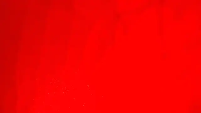 KarimaSarabe online show from 28, 11, 2025