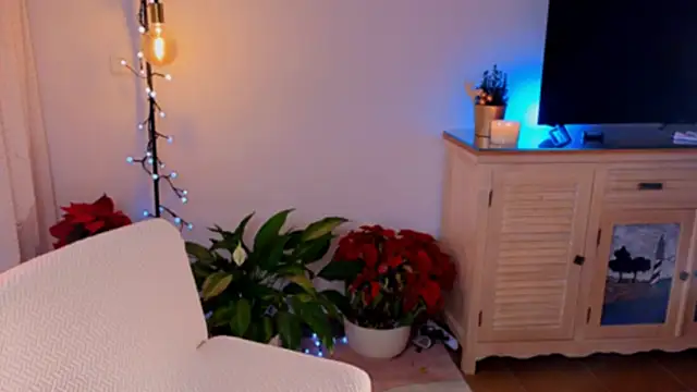 anabelcurvy online show from 8, 12, 2024