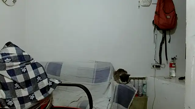 angelamarie1 online show from 18, 10, 2025