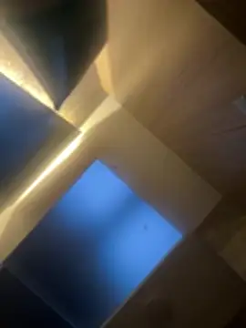 CeliWoods online show from 6, 2, 2026