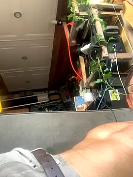 Likewise online show from 18, 12, 2025