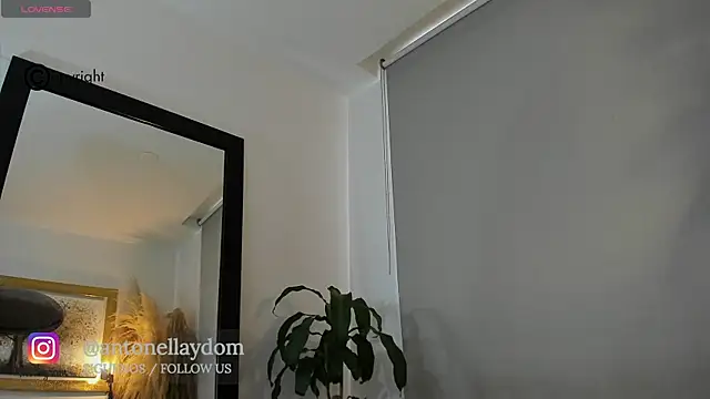 antonella dom1 online show from 21, 10, 2025