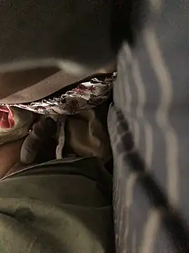 CoolBiDude online show from 26, 12, 2024