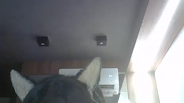 Skinny-Kitten online show from 21, 3, 2026