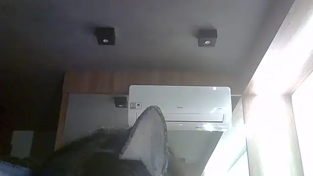 Skinny-Kitten online show from 30, 5, 2026