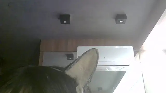 Skinny-Kitten online show from 11, 7, 2026