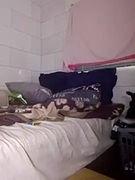 Snapshot of Stormward chatting on 25, 3, 2026 Stormward online show from 25, 3, 2026