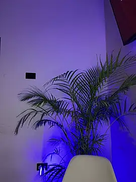 Charly  online show from 13, 3, 2025