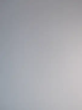 Delicy1 online show from 12, 2, 2025