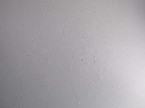 Delicy1 online show from 16, 2, 2026