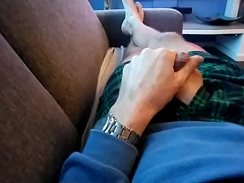 jk1981jk online show from 16, 11, 2025