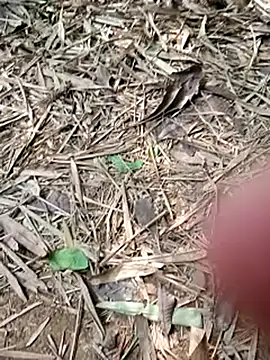 Blanco2023 online show from 20, 2, 2025