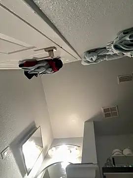 VipSection407 online show from 13, 1, 2026