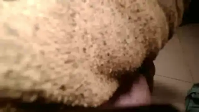 Dan3106x online show from 19, 3, 2026