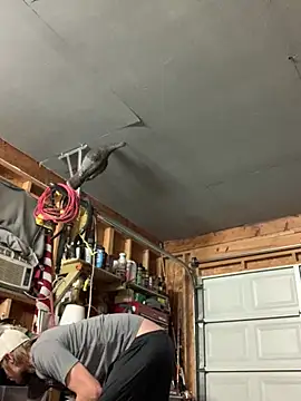 Midwestalpha online show from 15, 3, 2026